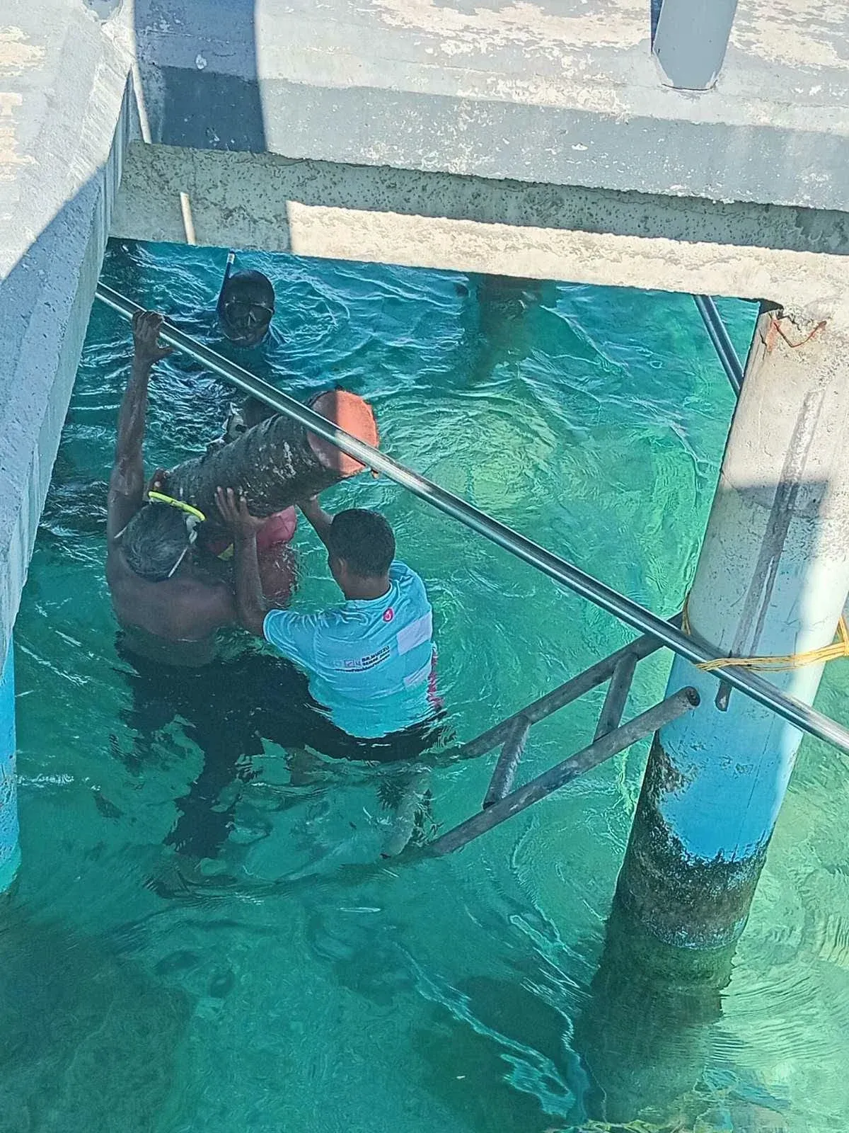 މަސްބާނަން ތަރައްޤީކޮށްފައިވާ ޖެޓީ މަރާމާތުކުރުމުގެ މަސައްކަތް ނިންމާލައިފި