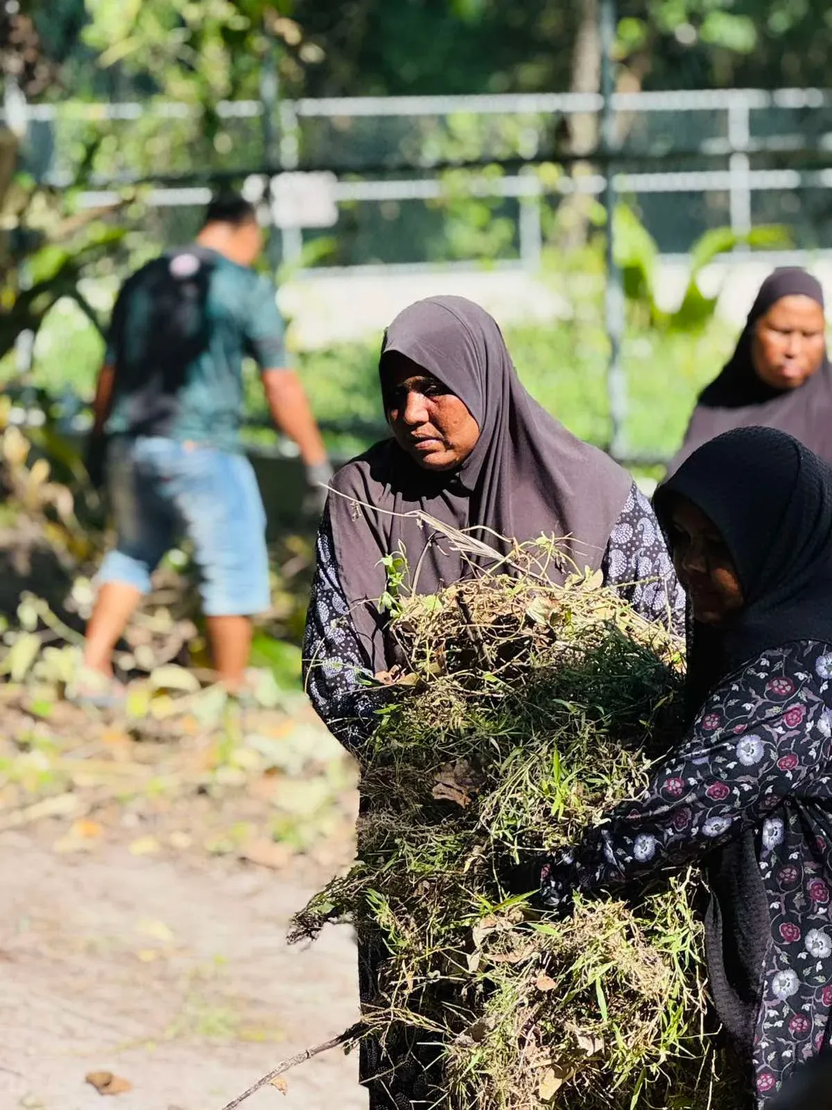 ސަހަރާ ސާފުކުރުން.