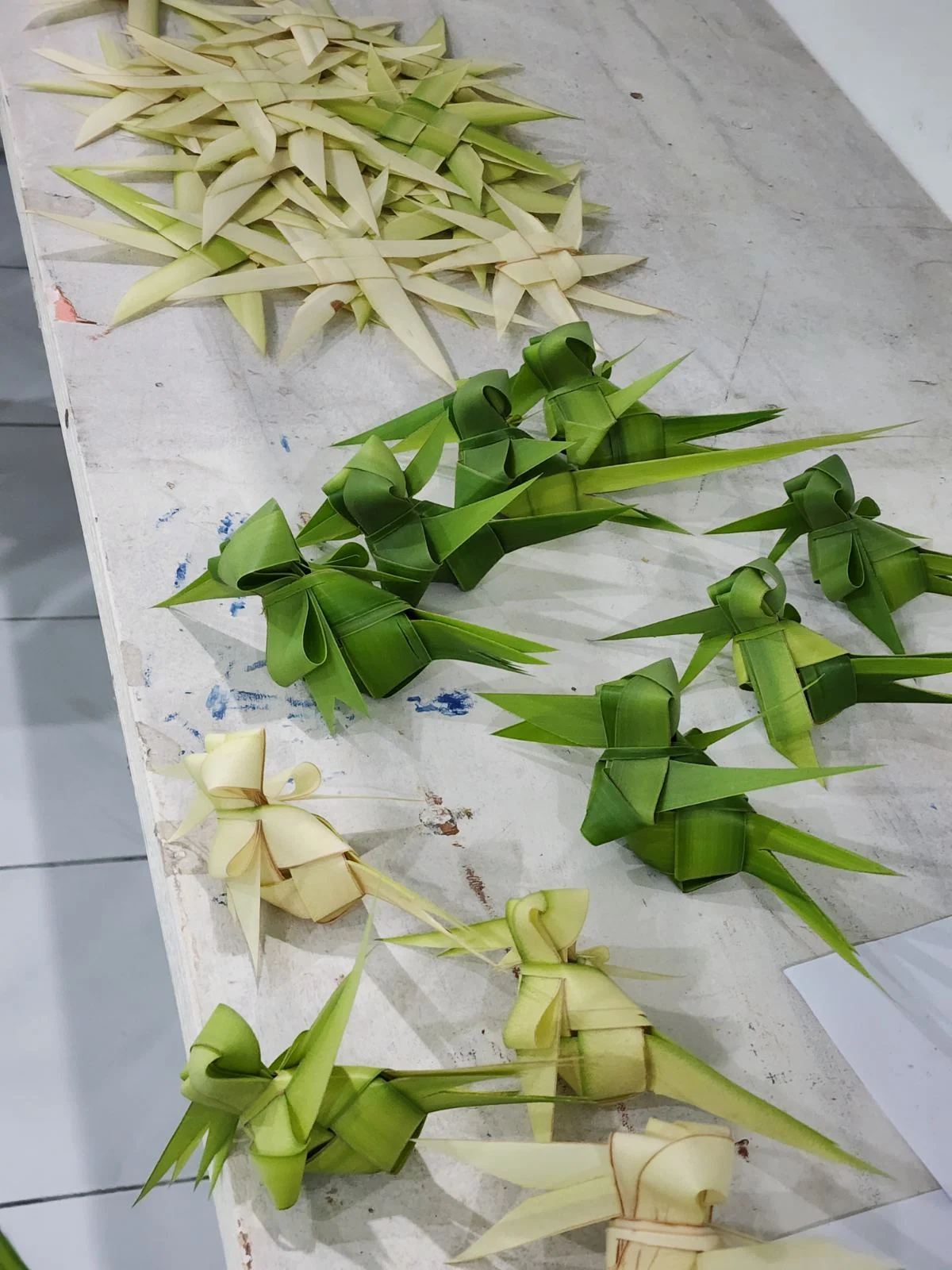Eid ah Thayaaruvun (24)