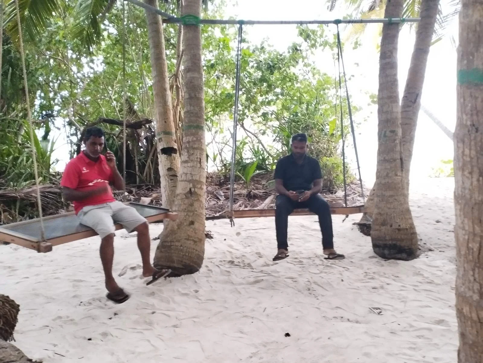 ސަރަޙައްދުގައި ބެހެއްޓިފައި ހުރި ބައެއް އުބދޯލިތަށް
