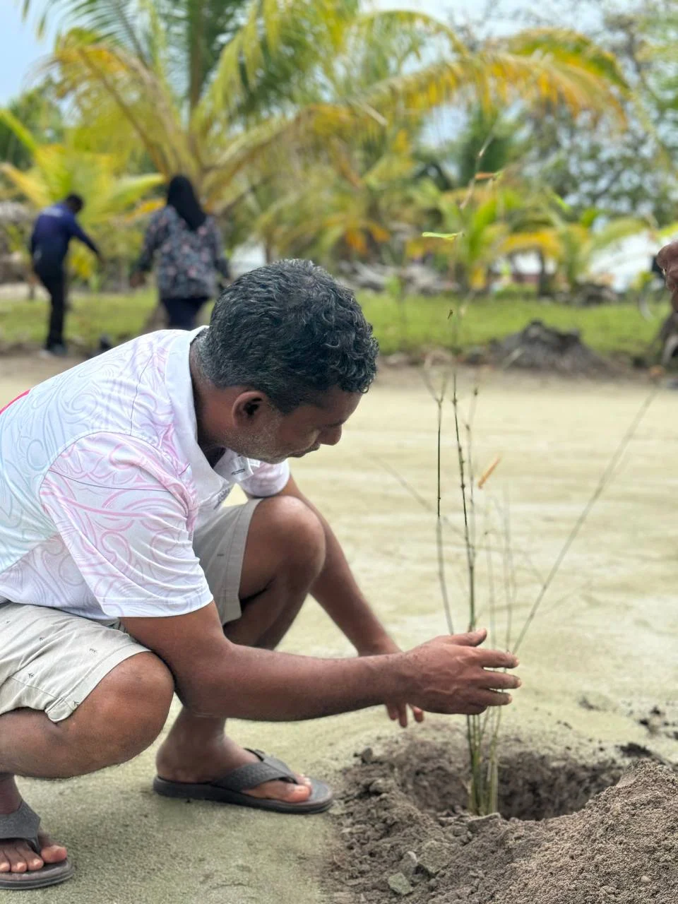 5 މިލިއަން ގަސްއިންދުމުގެ ޕްރޮގްރާމްގެ ދަށުން ނިލަންދޫ ކައުންސިލުން އިސްނަގައިގެން އާސާރީ ސަރަހައްދުގައި ގަސްއިންދުމުގެ ޕްރޮގްރާމެއް ކުރިޔަށް ގެންގޮސްފި