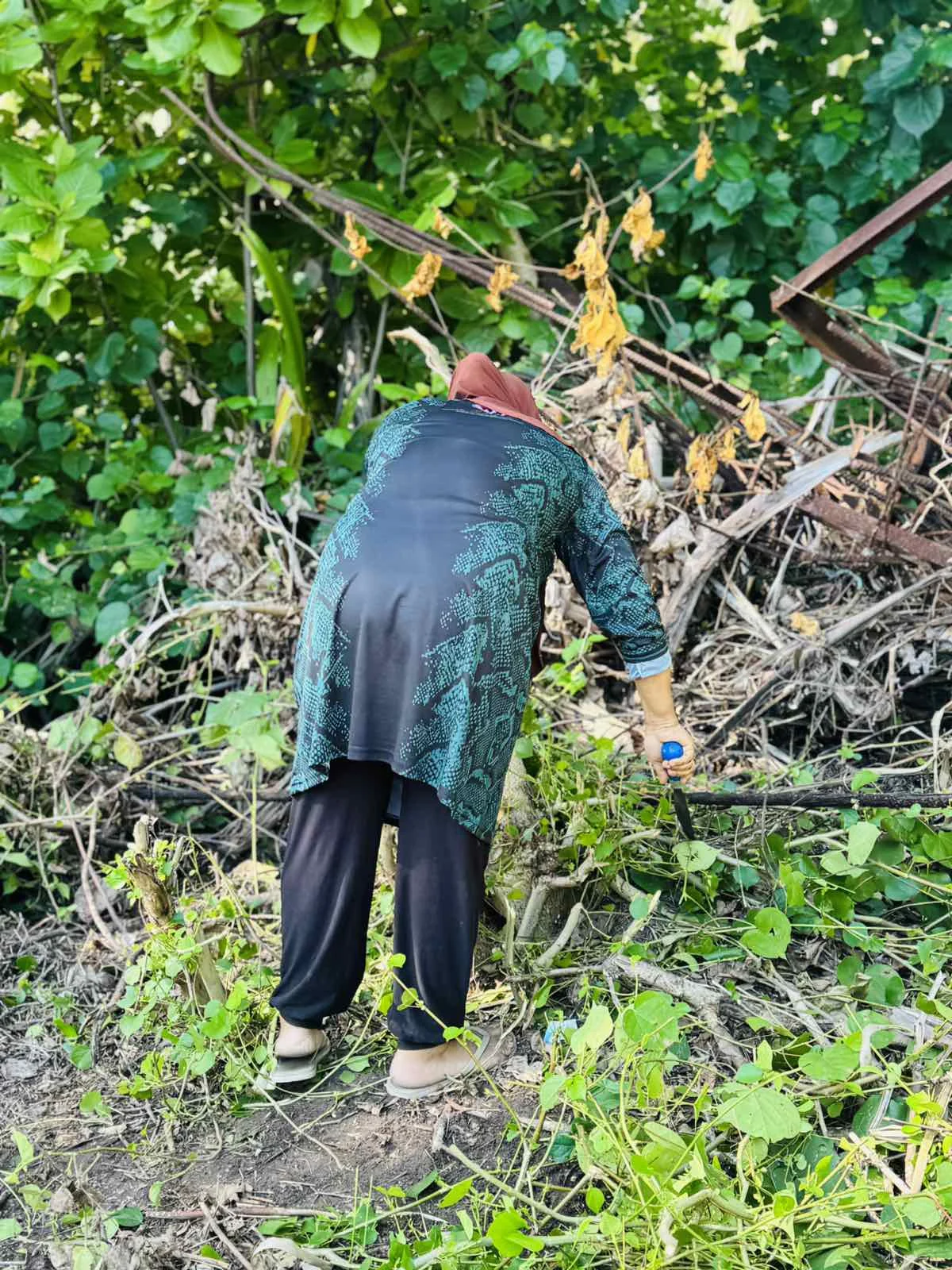 viber_image_2025-10-30_11-32-44-556