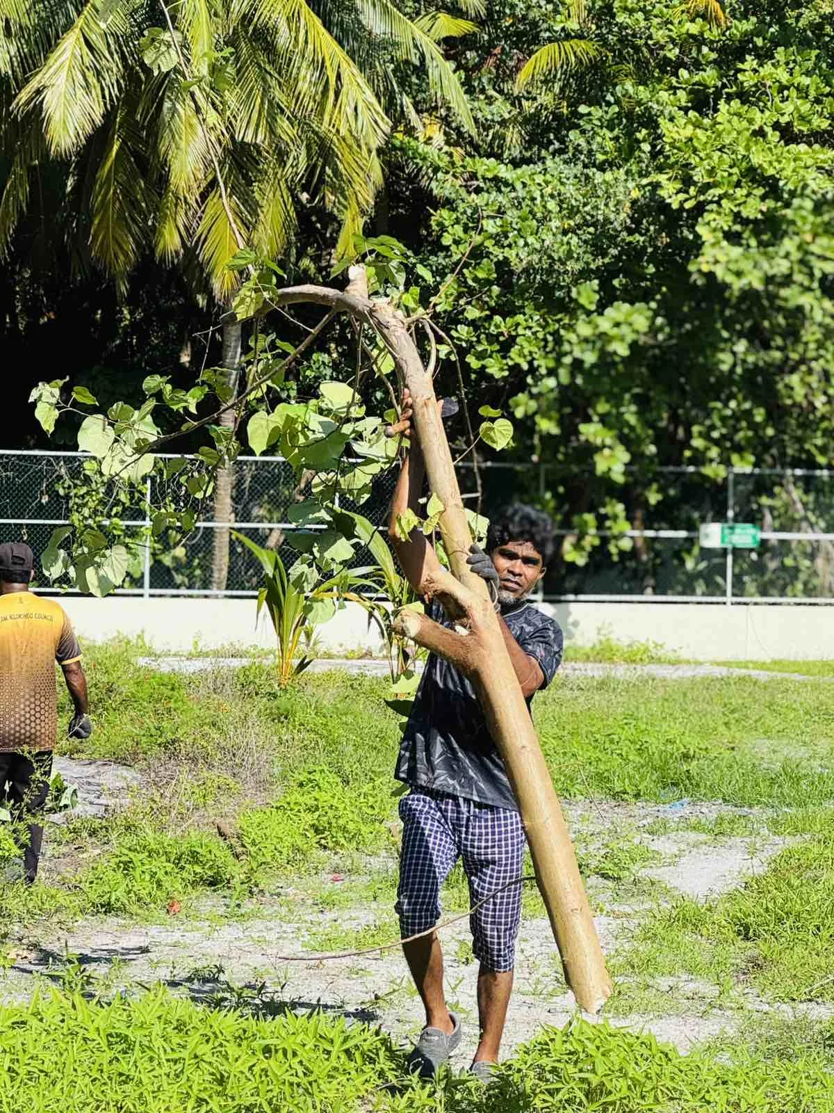 viber_image_2025-10-30_11-33-20-274