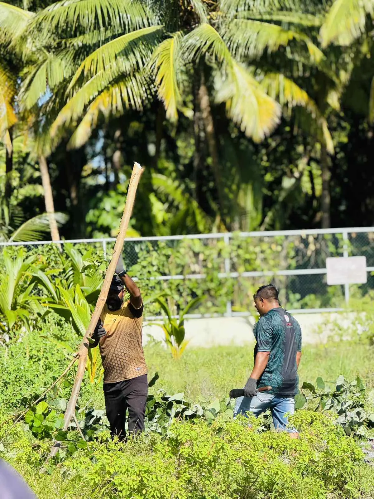 viber_image_2025-10-30_11-33-20-636