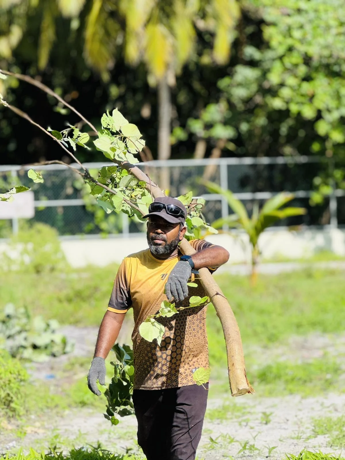 viber_image_2025-10-30_11-33-20-993