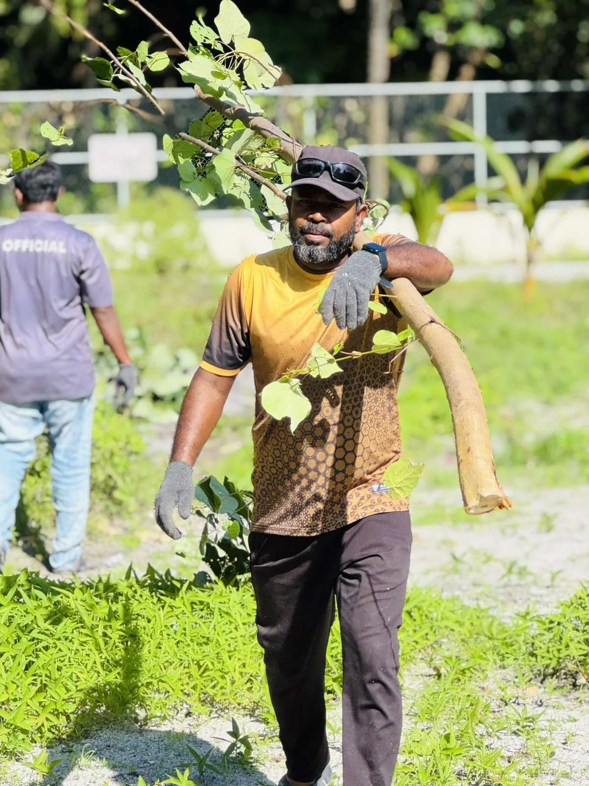 viber_image_2025-10-30_11-33-21-349