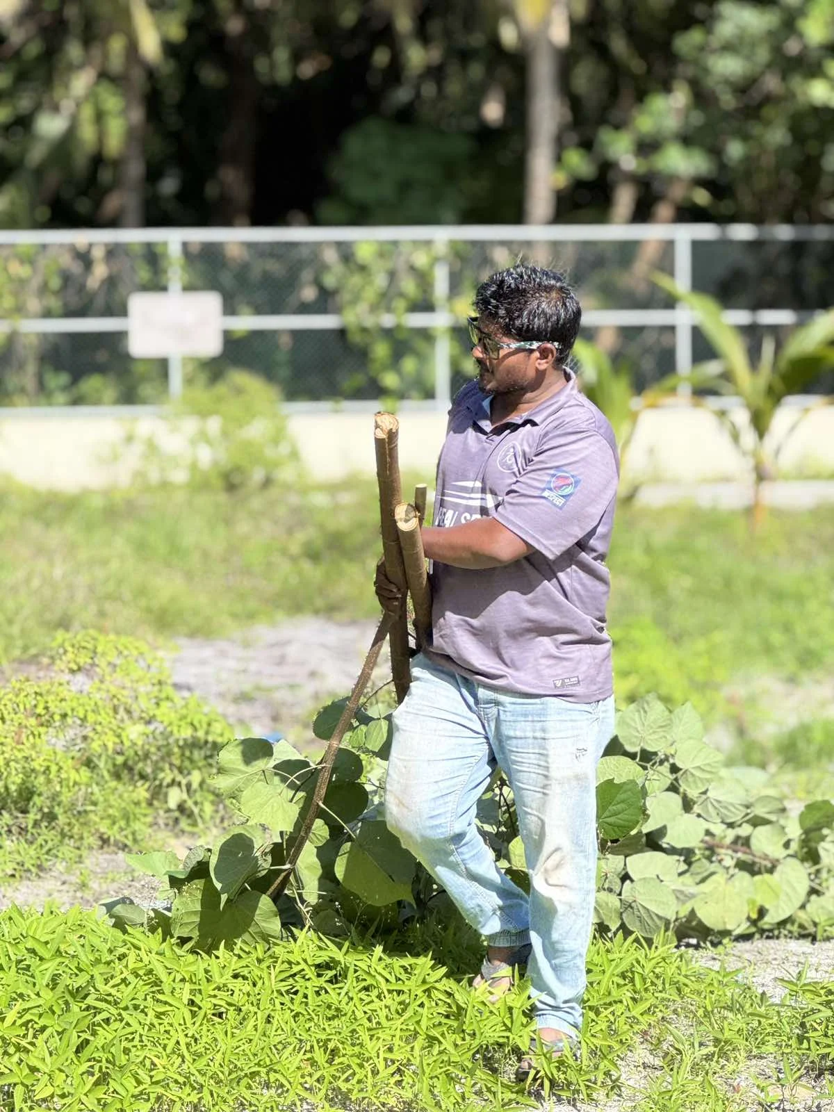 viber_image_2025-10-30_11-33-23-153