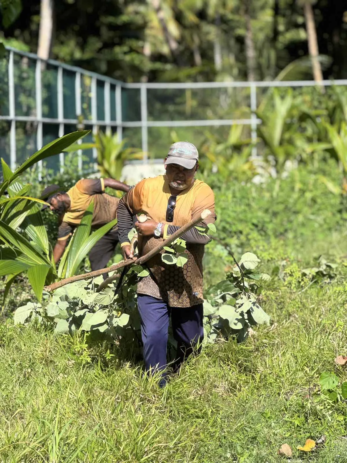 viber_image_2025-10-30_11-33-23-546