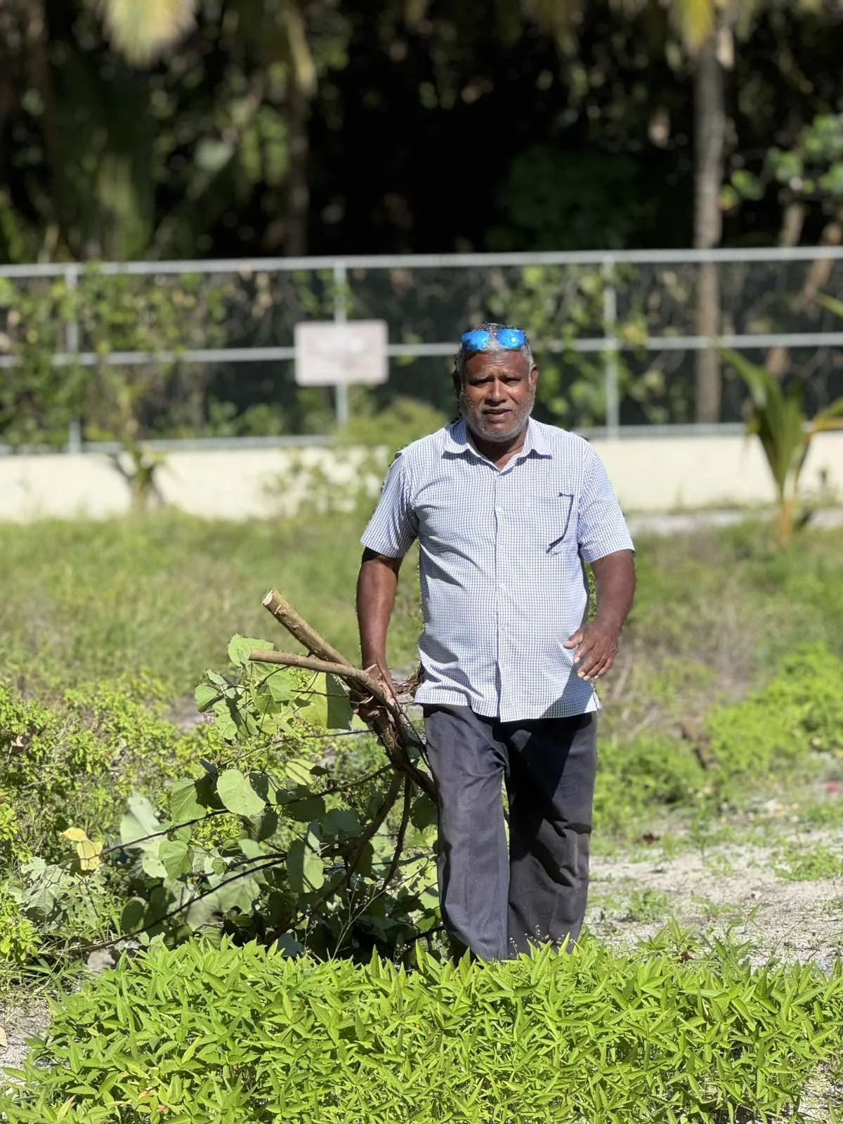 viber_image_2025-10-30_11-33-23-913