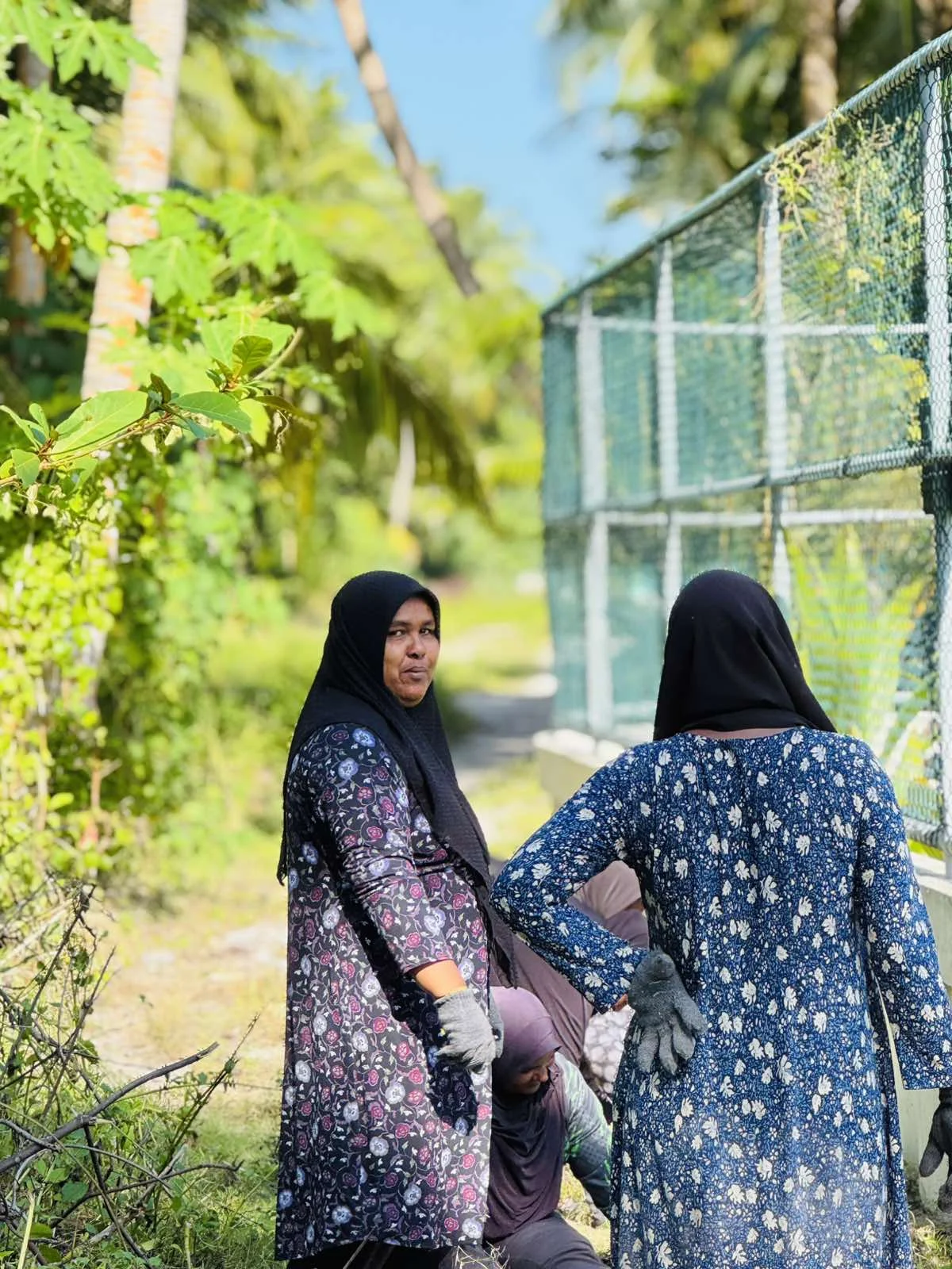 viber_image_2025-10-30_11-33-24-631