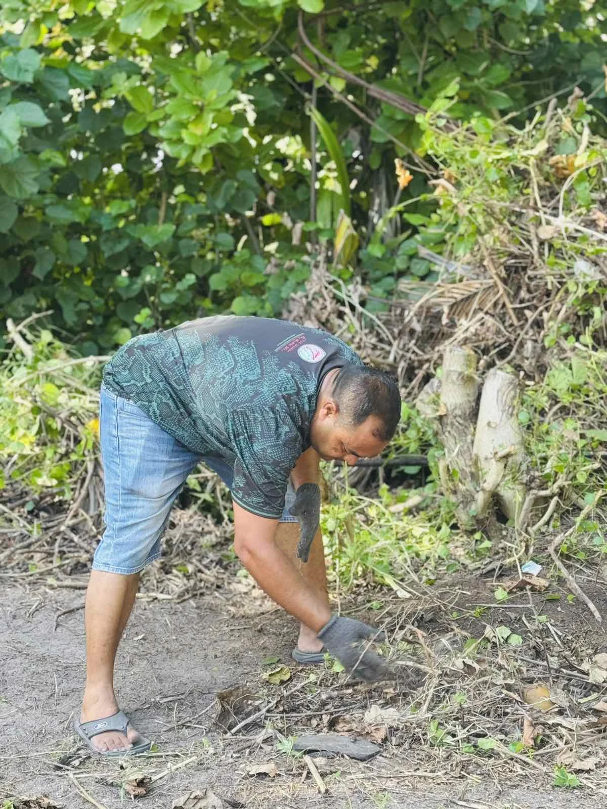 viber_image_2025-10-30_11-33-26-450