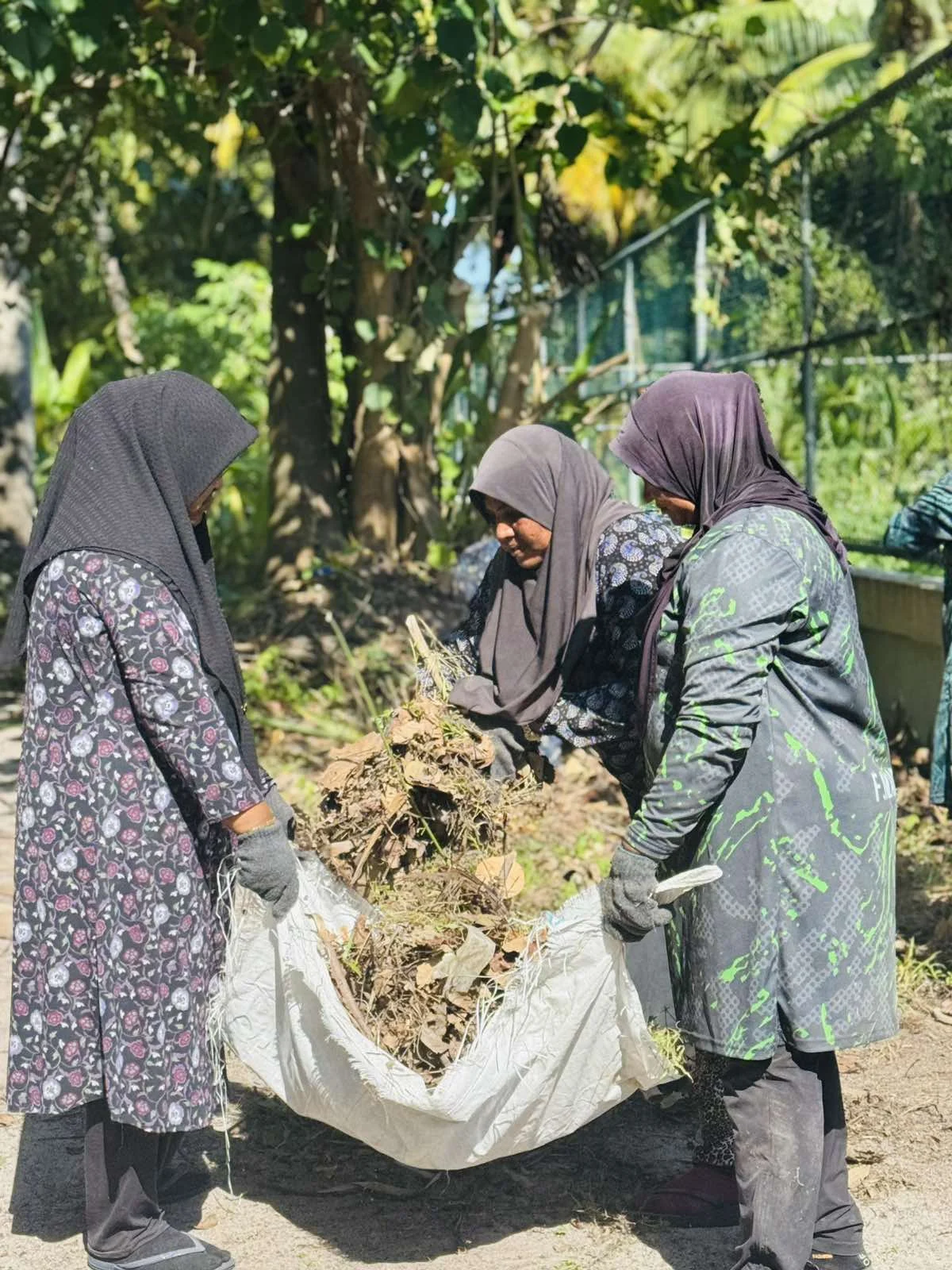 viber_image_2025-10-30_11-33-28-281