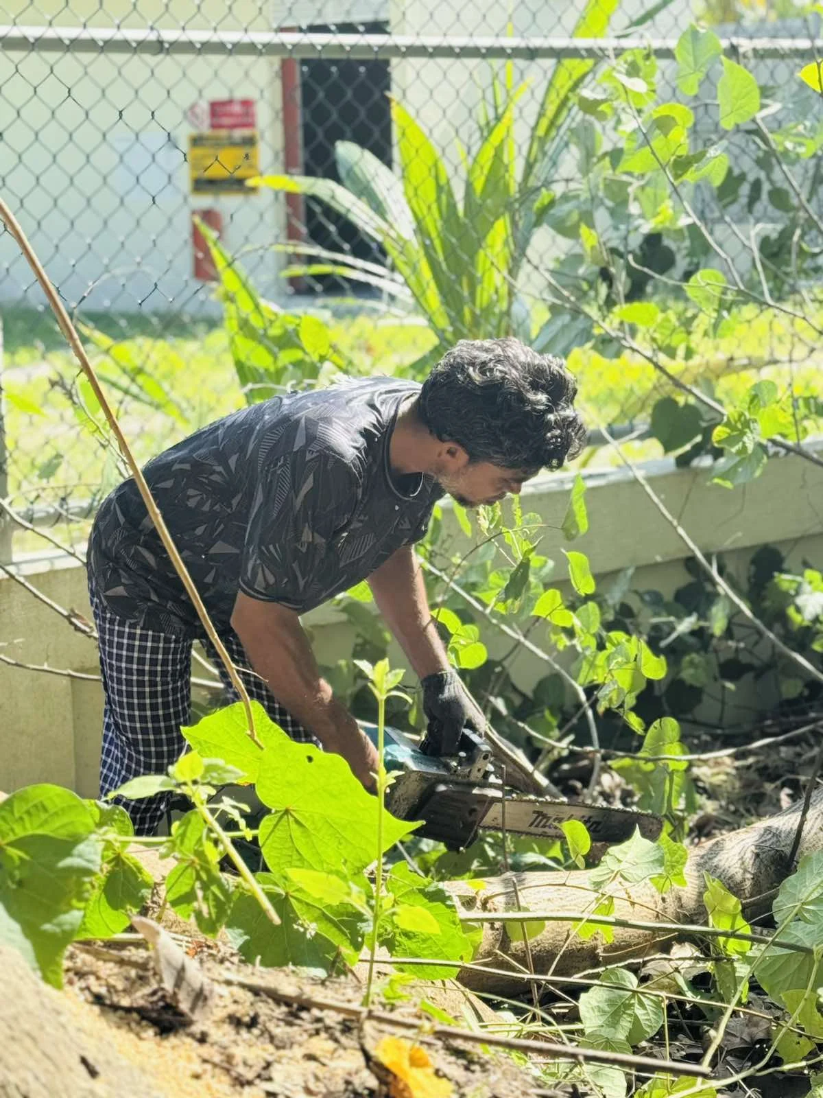 viber_image_2025-10-30_11-33-28-639