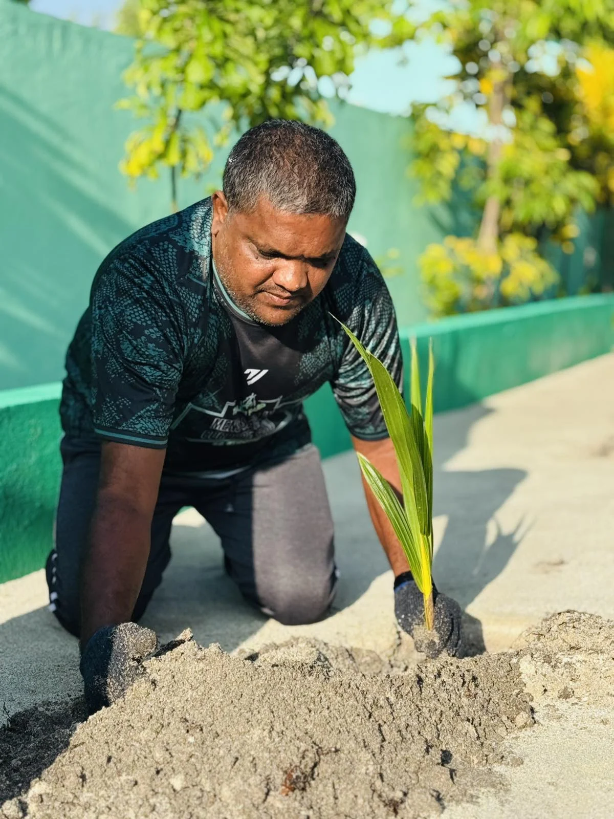 ތަޙާލުފި މިސްކިތުގެ ގޯތިތެރޭ ރުއް އިންދުން