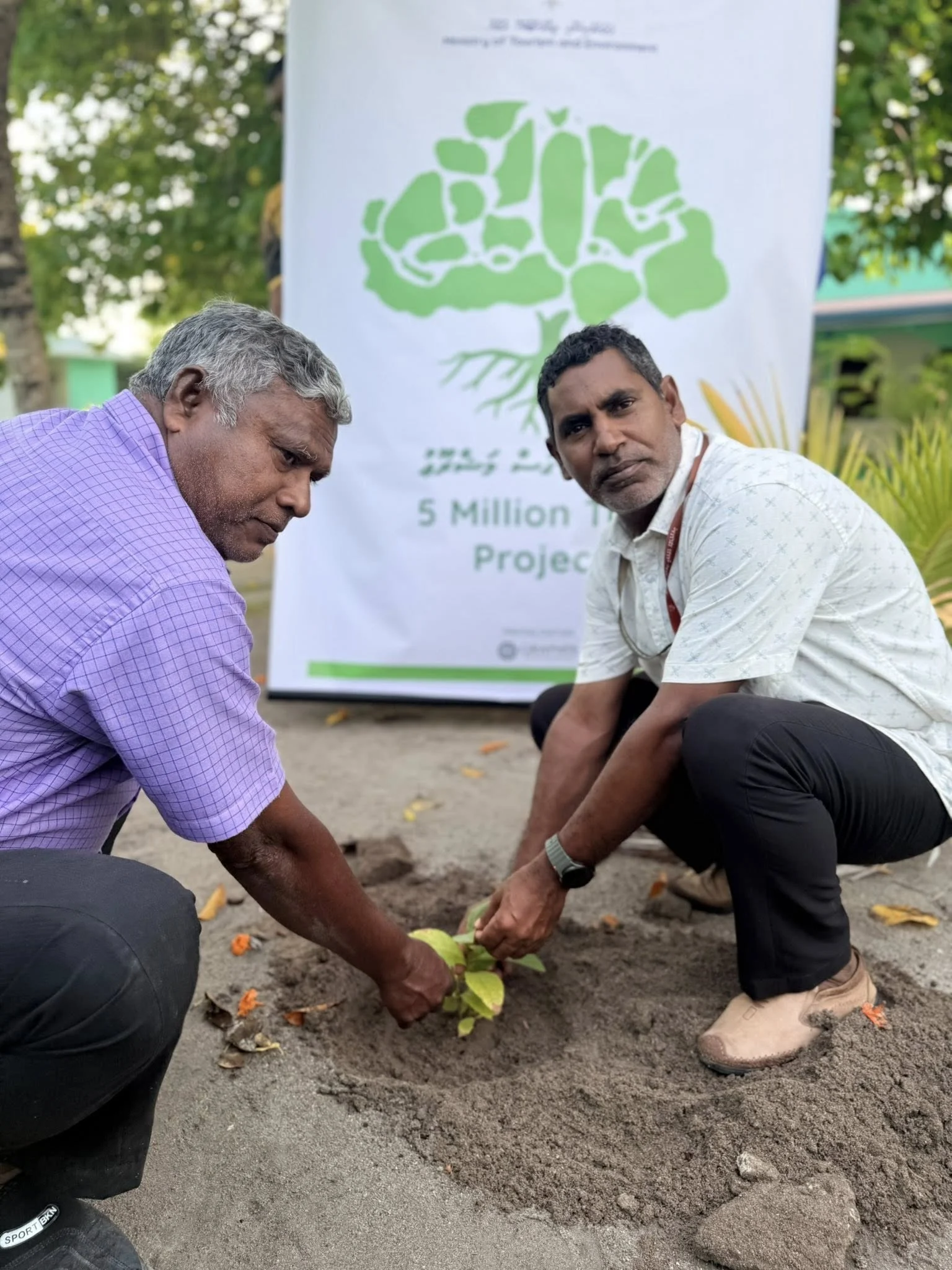 ރަށުގެ 04 ސަރަހައްދެއްގައި ހައިވަކަރު ގަސް އިންދުން