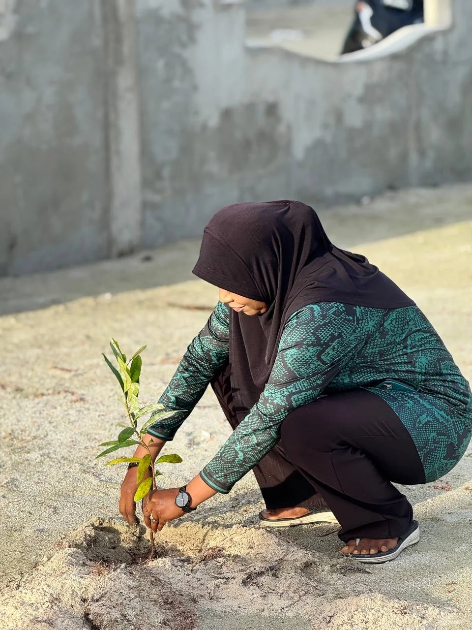ކުޑަކުދިންގެ ޕާކު ސަރަހައްދުގައި ގަސްއިންދުމުގެ ޕްރޮގްރާމެއް ކުރިއަށް ގެންދިއުން